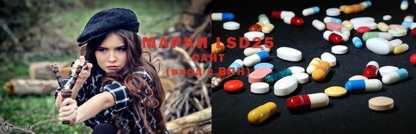 PSILOCYBIN Янаул