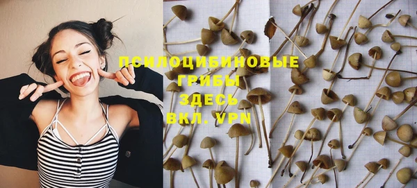 шишки Кукмор