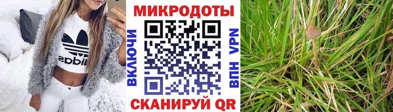 где можно купить   Сертолово  Галлюциногенные грибы мицелий 